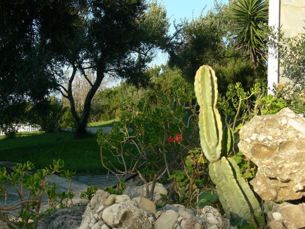 Villa Quietude Agios Stefanos Avliotes  Bilik gambar